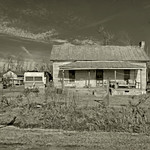 A Surviving Sharecropper's House: Pitt County, North Carolina