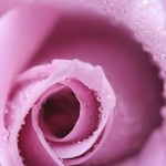 Appreciations 2 All With Soul