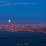 Strawberry Full moon