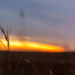 December wetlands sunset