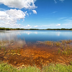 Ninemile Pond - Everglades National Park, Florida