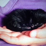 Fyonnbahr, 2 hours old