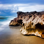 Coastal rocks of the Anastasia Formation, Ross Witham Beach, Hutchinson Island, Florida, USA