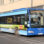 2453 HW07CXT Bluestar