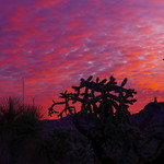 Just another Arizona sunrise
