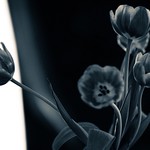 good will - bad will