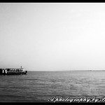 The lone survivor...