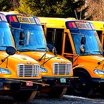 Vermont Schoolbuses 2