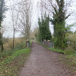 Tracing the MSWJR Line