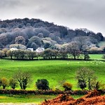 wentwood reservior morning