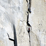 El Capitan Climbers