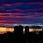 Sunrise, Toronto, ON
