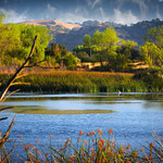 One of the Ogier Ponds along the Coyote Creek Regional Bicycle Trail