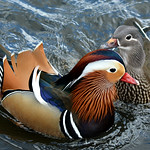 Together Forever Whatever the Weather!