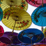 parasols