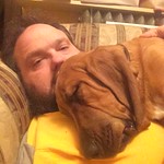 #bloodhound