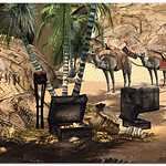 Treasures of the Desert_2016-05-21_003