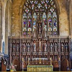 Inside The 'Stump' II