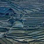 A normal day in Sapa