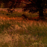 Missing Provence - 3