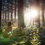 37/52 a world full of wonders