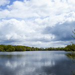 Wellington Country Park