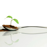 feed the planet (brescia, italy)