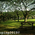 Pasir Ris Park Singapore
