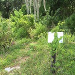 Area where E8 was rescued.