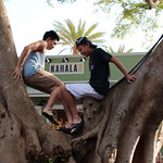 Canon EOS Rebel SL1 188