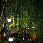 Along the Otani river