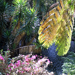 Funchal - Monte Palace