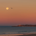 Setting Moon at Dawn