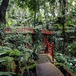 Monte_Palace_Garden_8324