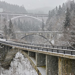 三橋飛雪(DSC_9983)
