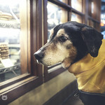 I'll take one of each, please. 🍪