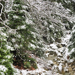 Another winter escape...