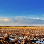 Clear, cold winter day