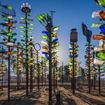 Bottle Tree Ranch