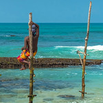 Stilt Fishermen of Koggala, Sri Lanka