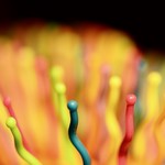 &ldquo;Macro Mondays" &ldquo;What is that?&rdquo;