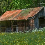 SF-IMG_9465 - Dessous les Crapauteires, old hayloft, Gruy&egrave;re region - Switzerland