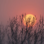 Oklahoma Prairie Fire Sunset