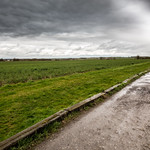 WPG 12 Month Challenge.