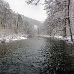 Winter at the river