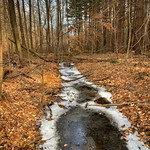 Frozen Stream