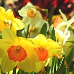 3130ex2 Welcome spring! **Explore**