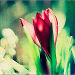 Fr&uuml;hlingsfarben