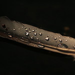 The Ugly Duckling. HMM! &ldquo;Once Upon A Time"