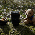 Kaffeepause im Wald